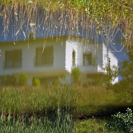 Gaisweiher, Appartement *